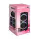Bežični Bluetooth zvučnik NDR-1306 (DSP) 60W 2*6,5 inca sa dva mikrofona crni - EP3148329
