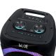 Bežični Bluetooth zvučnik NDR-1310 (DSP) 60W 2*10 inca sa dva mikrofona crni - EP3148332