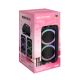Bežični Bluetooth zvučnik NDR-1310 (DSP) 60W 2*10 inca sa dva mikrofona crni - EP3148332