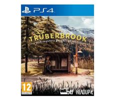 PS4 Truberbrook - 032561