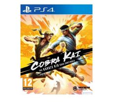 PS4 Cobra Kai: The Karate Kid Saga Continues - 040919