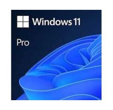 MICROSOFT Windows 11 Pro 64bit Eng Intl OEM (FQC-10528) - SOF01128