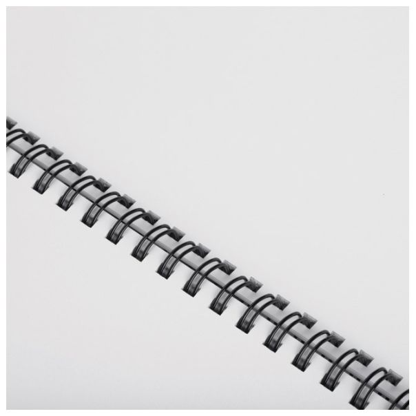 FELLOWES Spirala žičana (3:1) fi-12mm (81-100 listova) pk100 Fellowes 53273 crna - 000003687