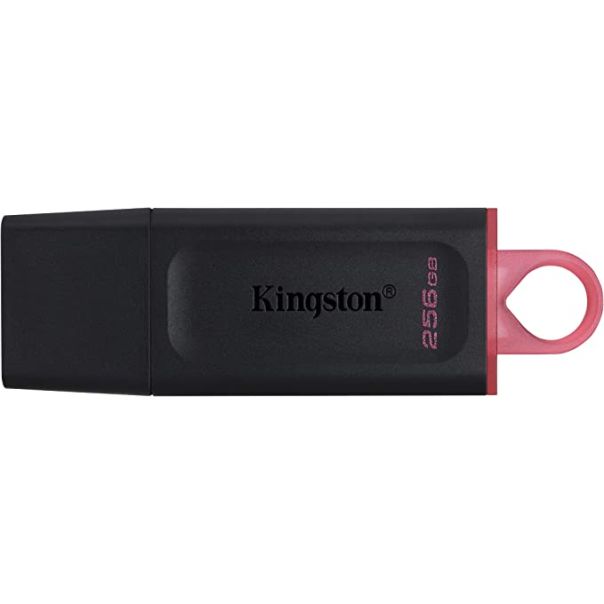 KINGSTON USB flash memorija 256GB USB3.2 DTX/256GB - 00001204552