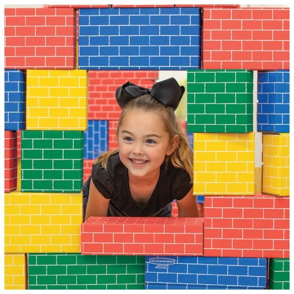 FELLOWES Cigle (kartonske kocke) za igru pk40 100053819 - EP2831171