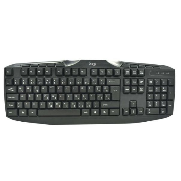 MS Tastatura MASTER C100 crna - 80779