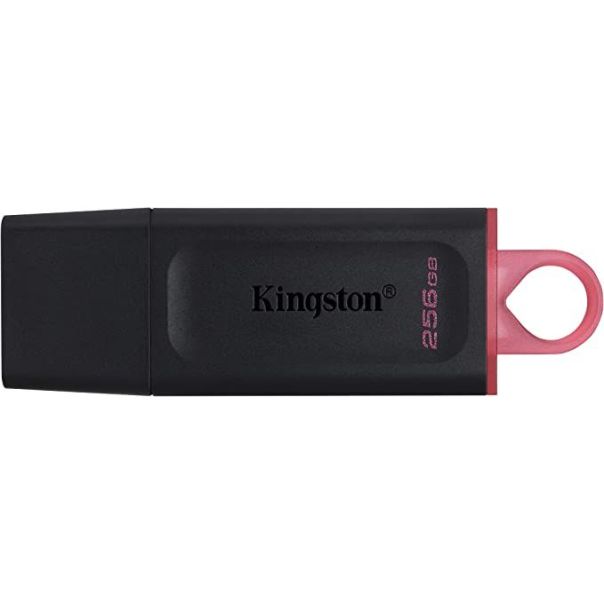 KINGSTON USB flash memorija 256GB USB3.2 DTX/256GB - 0001204552