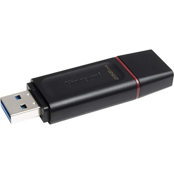 KINGSTON USB flash memorija 256GB USB3.2 DTX/256GB - 0001204552