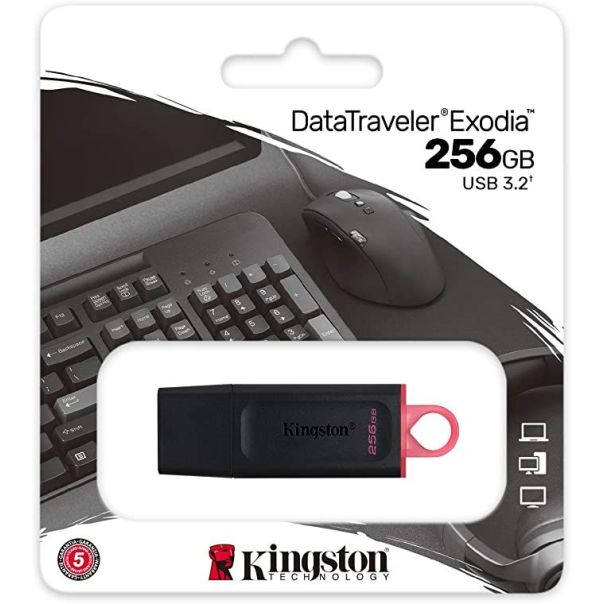 KINGSTON USB flash memorija 256GB USB3.2 DTX/256GB - 0001204552