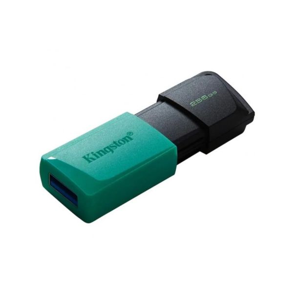 KINGSTON Usb memorija DTXM/256GB - 0001265478
