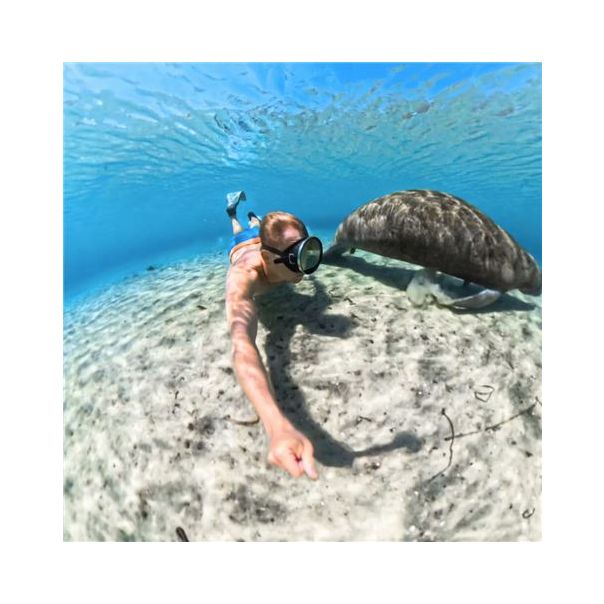 INSTA360 X5 Invisible Dive Case - 0001422214