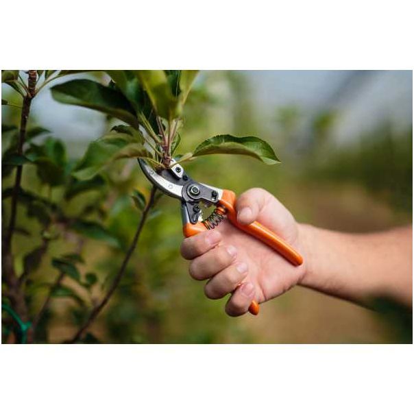 VILLAGER Makaze voćarske PS 102 - 020175