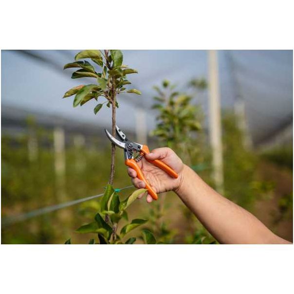 VILLAGER Makaze voćarske PS 102 - 020175