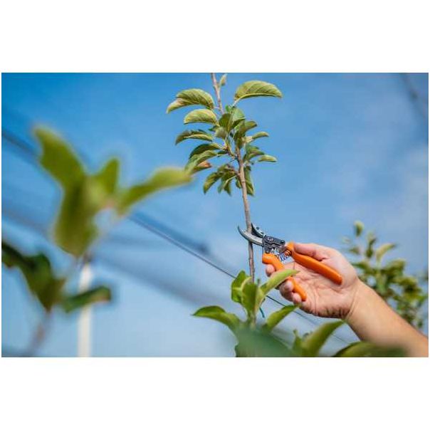 VILLAGER Makaze voćarske PS 102 - 020175