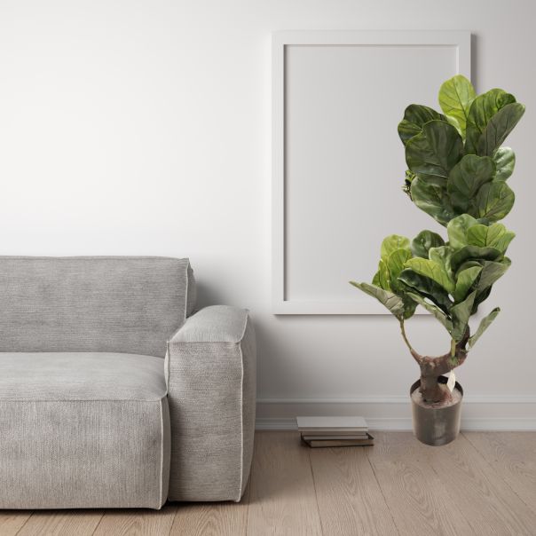 DEKOR DOM Cvet u saksiji - FICUS A1023 - N60 - EP2880147