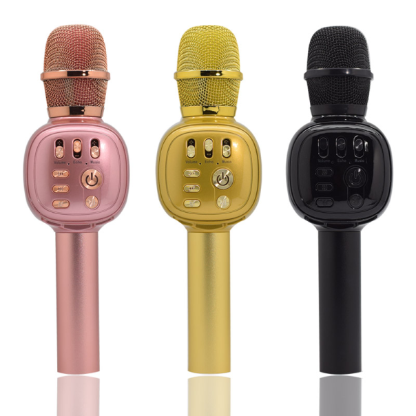 Mikrofon karaoke+ zvučnik (K310) BTS16/ 03 crna - EP2890328