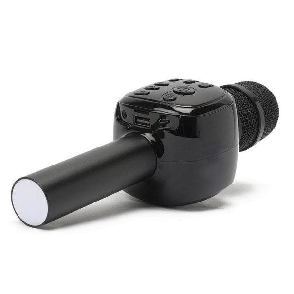 Mikrofon karaoke+ zvučnik (K310) BTS16/ 03 crna - EP2890328