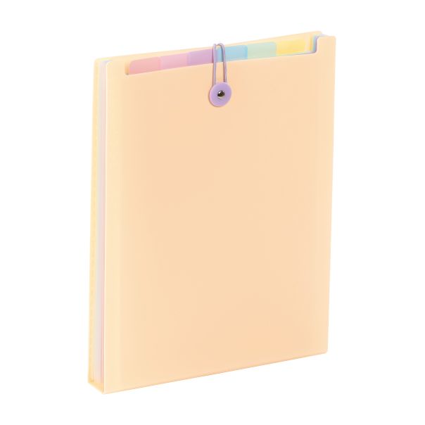 VIQUEL Expanding organizer sa 6 pregrada i gumicom USPRAVNI Rainbow Pastel - 04CK31