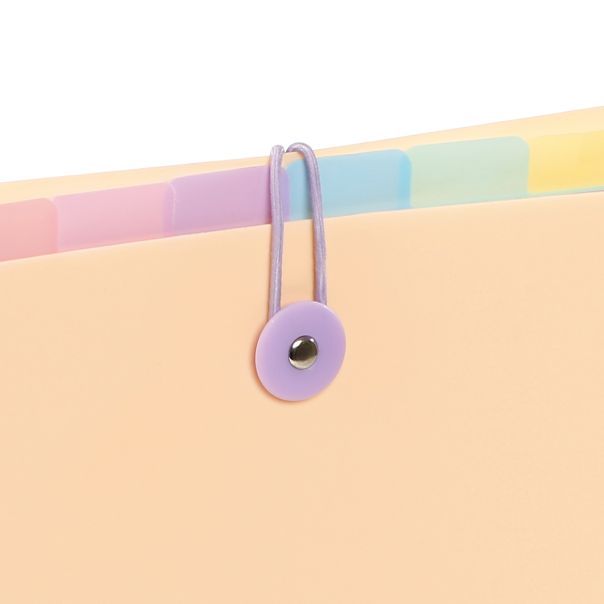 VIQUEL Expanding organizer sa 6 pregrada i gumicom USPRAVNI Rainbow Pastel - 04CK31