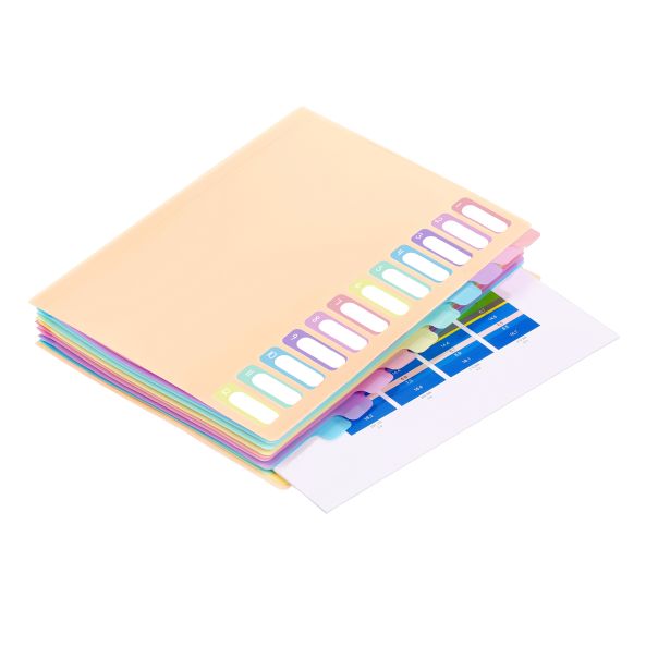 VIQUEL PVC Organiser sa 12 pregrada i gumicom Rainbow Pastel - 04CK35