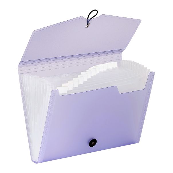 VIQUEL Expanding organizer sa 12 pregrada i gumicom PropySoft - 04CK41