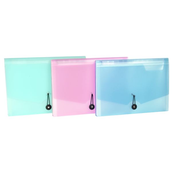 VIQUEL Expanding organizer sa 12 pregrada i gumicom PropySoft - 04CK41