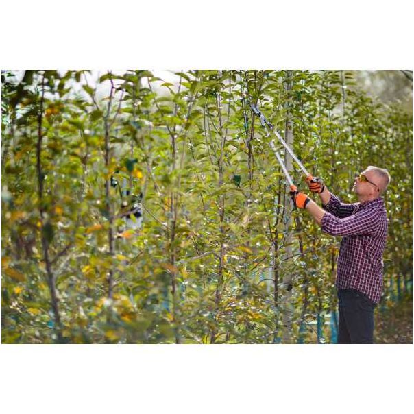 VILLAGER Makaze za grane LS 128 - 055319