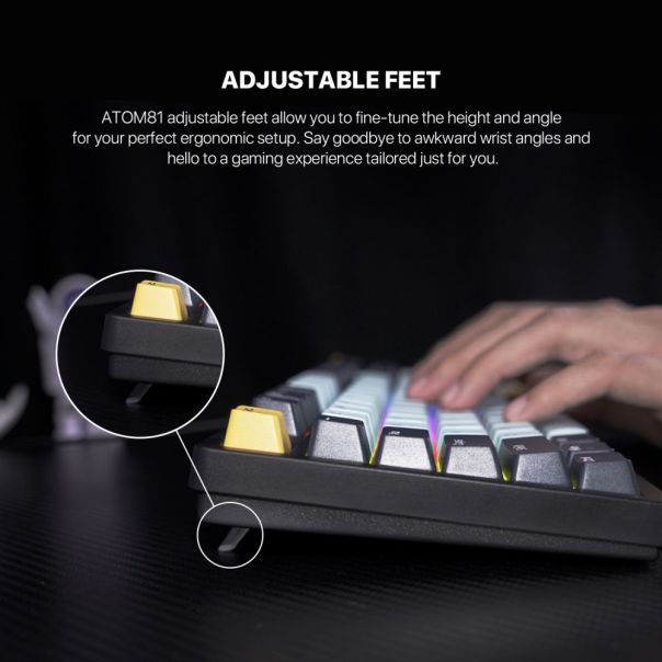 FANTECH Tastatura Mehanicka Gaming MK875 RGB Atom 81 SkyBlue (taro switch) - EP3169517