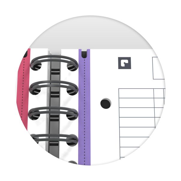 OXFORD Sveska Office Essentials Europeanbook A4+ kvadratići, 4 Subject - 06XO641