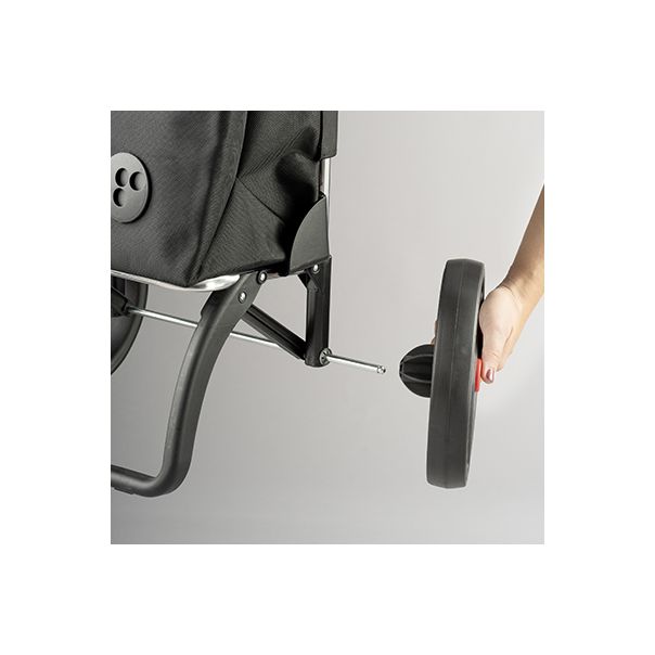 ROLSER Kolica za kupovinu I-Max MF 2L RSG, teget - 07640