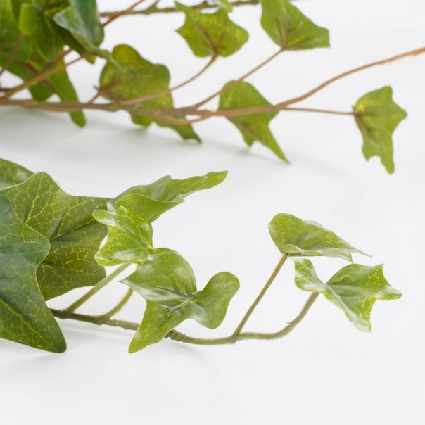 DEKOR DOM Cvet IVY 86cm 1026608 - Green - EDL - EP2880609