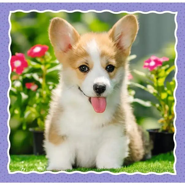TREFL Puzzle 3u1 Cute dogs 34854 - 50, 20, 36 delova - 102860-34854
