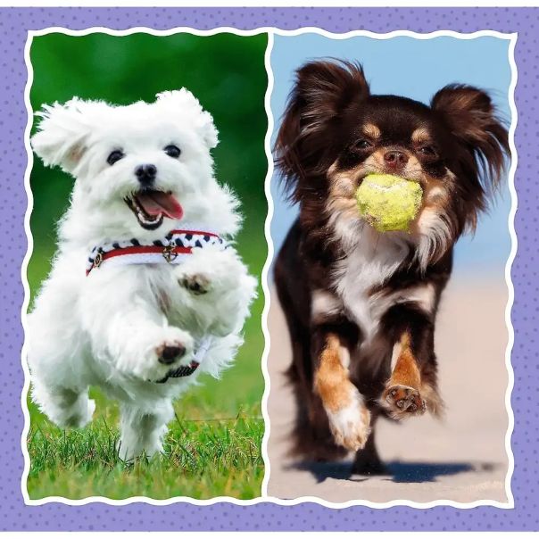TREFL Puzzle 3u1 Cute dogs 34854 - 50, 20, 36 delova - 102860-34854