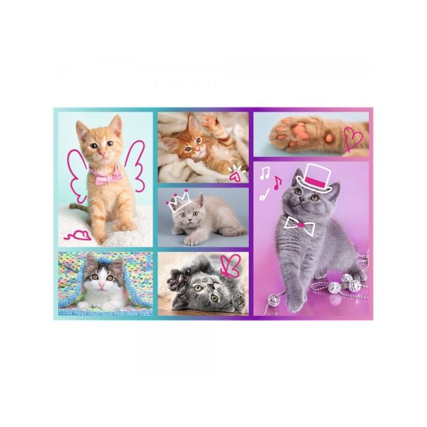 TREFL Puzzle mačke - 60 delova - 103119-T17373