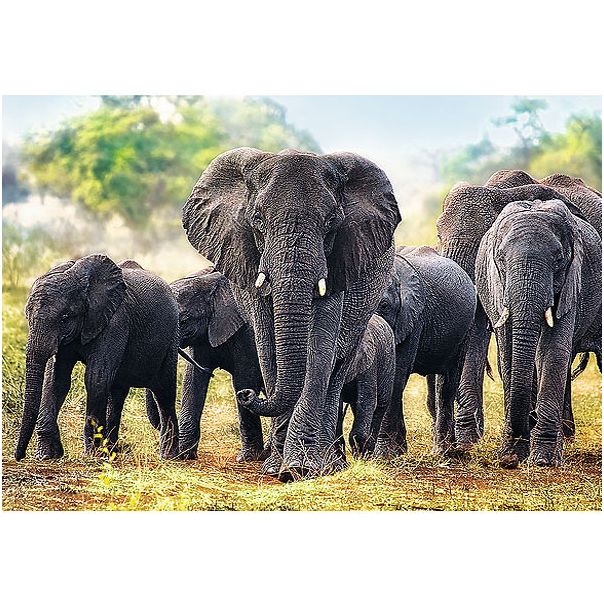 TREFL Puzzle African Elephant 10442 - 1.000 delova - T10442