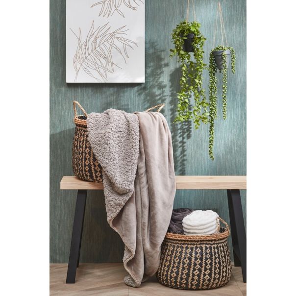 DEKOR DOM Cvet u saksiji EUCALYPTUS 54cm 1083464 - Green - EDL - EP2880621