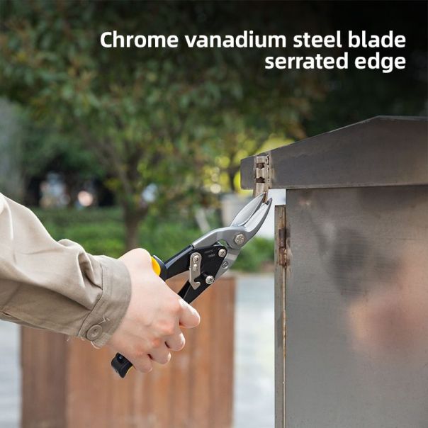 DELI Makaze leve za sečenje lima 250mm edl20031 - 1094463