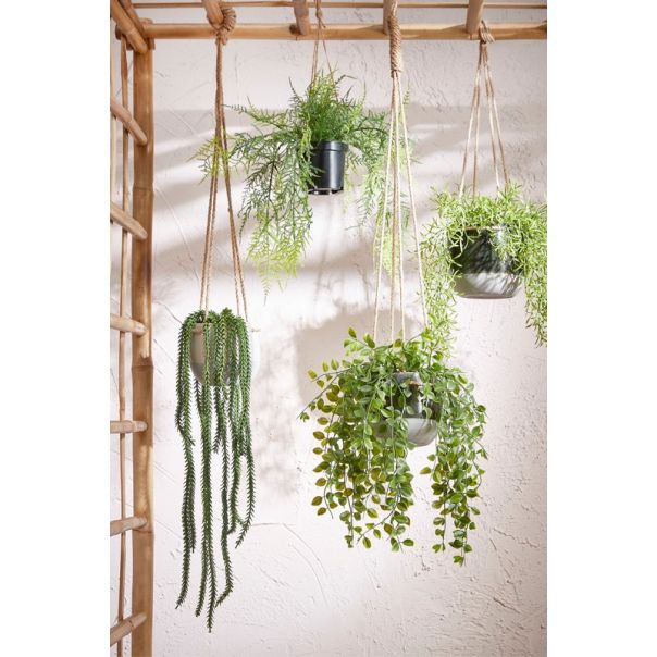 DEKOR DOM Cvet u saksiji FICUS 46cm 1097781 - Green - EDL - EP2880624