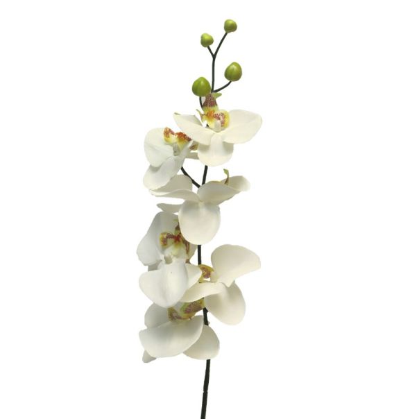 DEKOR DOM Cvet 78cm Orchid, krem - 040039-1