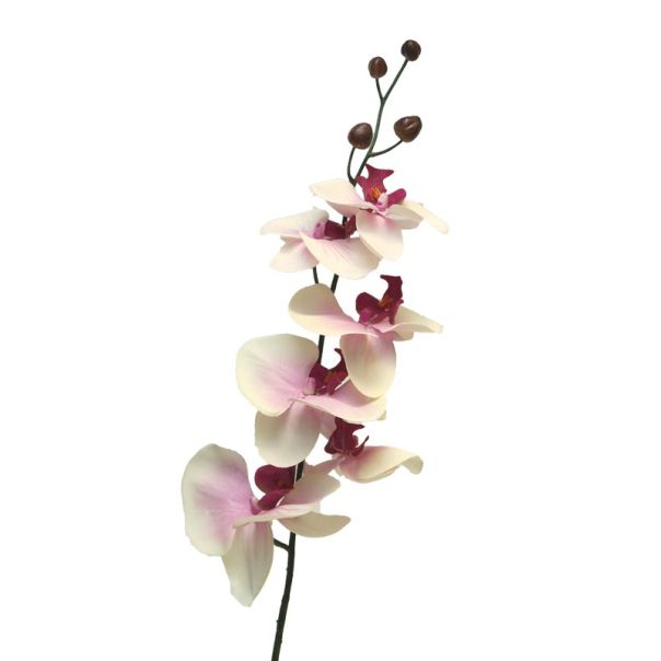 DEKOR DOM Cvet 78cm Orchid, krem/lila - 040040-1