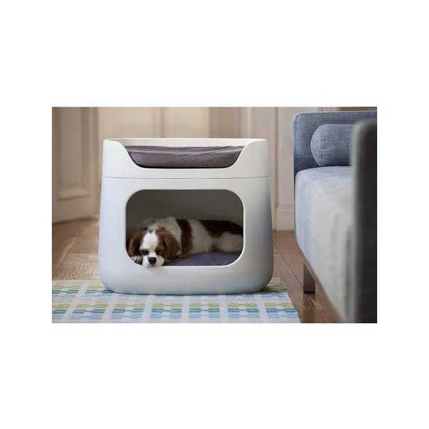 CURVER Krevet za kućne ljubimce Oasis boja peska CU 227525 - 121508-1