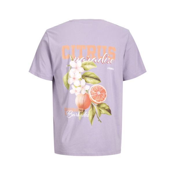 JACK & JONES Muška majica aron - EP3074592