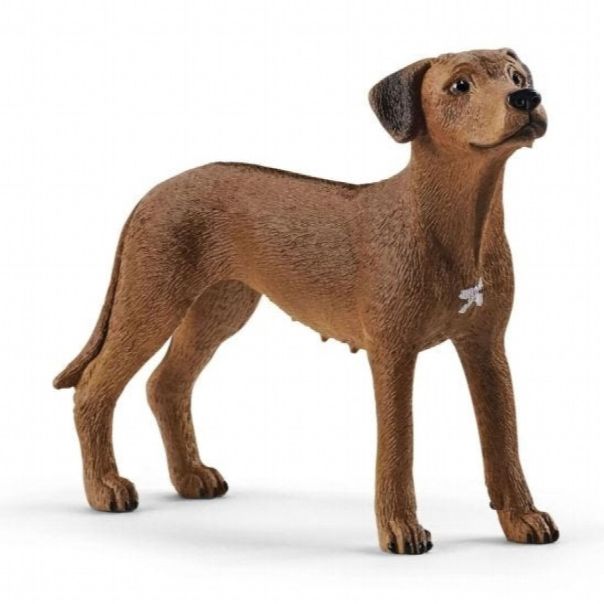 SCHLEICH Pas, Rodezijski ridžbek - 13895