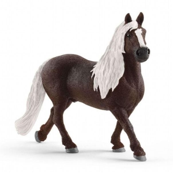 SCHLEICH Pastuv, Black forest - 13897