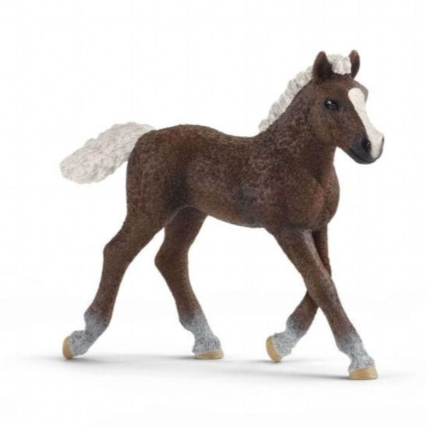 SCHLEICH Ždrebe, Black forest - 13899