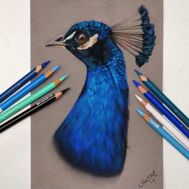 STABILO Bojice za umetnike Carbothello Arty, set 1/24 - 1424-6