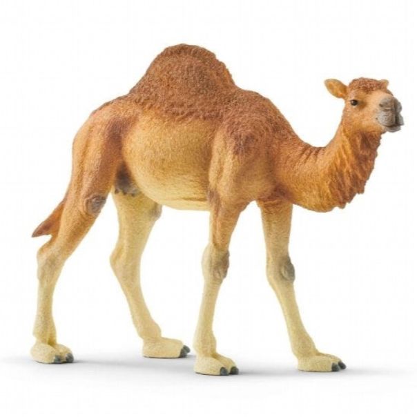SCHLEICH Kamila - 14832