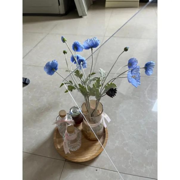 SUPERGARDEN Aluminijumska Nadstrešnica 150x80cm Providna Pun Polikarbonat - 1575-1