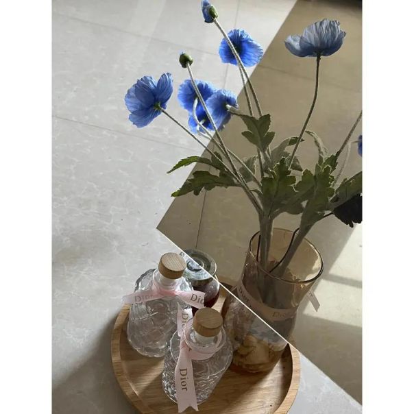 SUPERGARDEN Aluminijumska Nadstrešnica 200x80cm Bronza Pun Polikarbonat - 1576-1