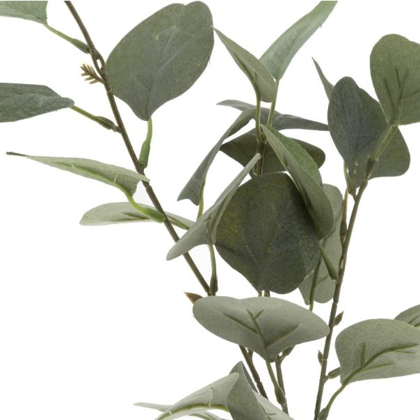 ATMOSPHERA Dekorativna biljka Eucalyptus sa vazom - 168579